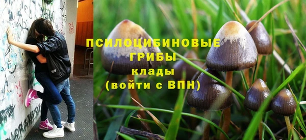 экстази Зеленокумск