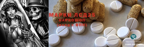 ГАЛЛЮЦИНОГЕННЫЕ ГРИБЫ Зеленодольск