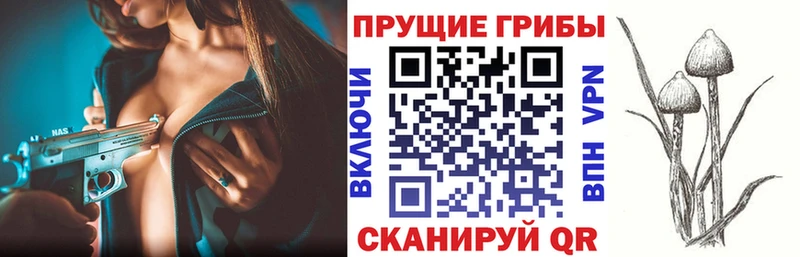 Купить закладки  Высоковск  Галлюциногенные грибы Cubensis 